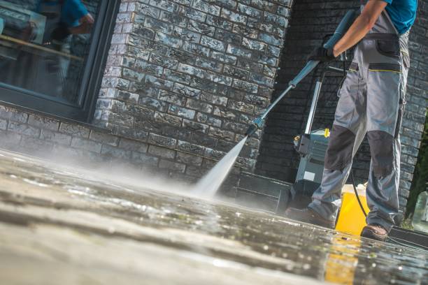 Best Roof Washing  in North Bay Village, FL